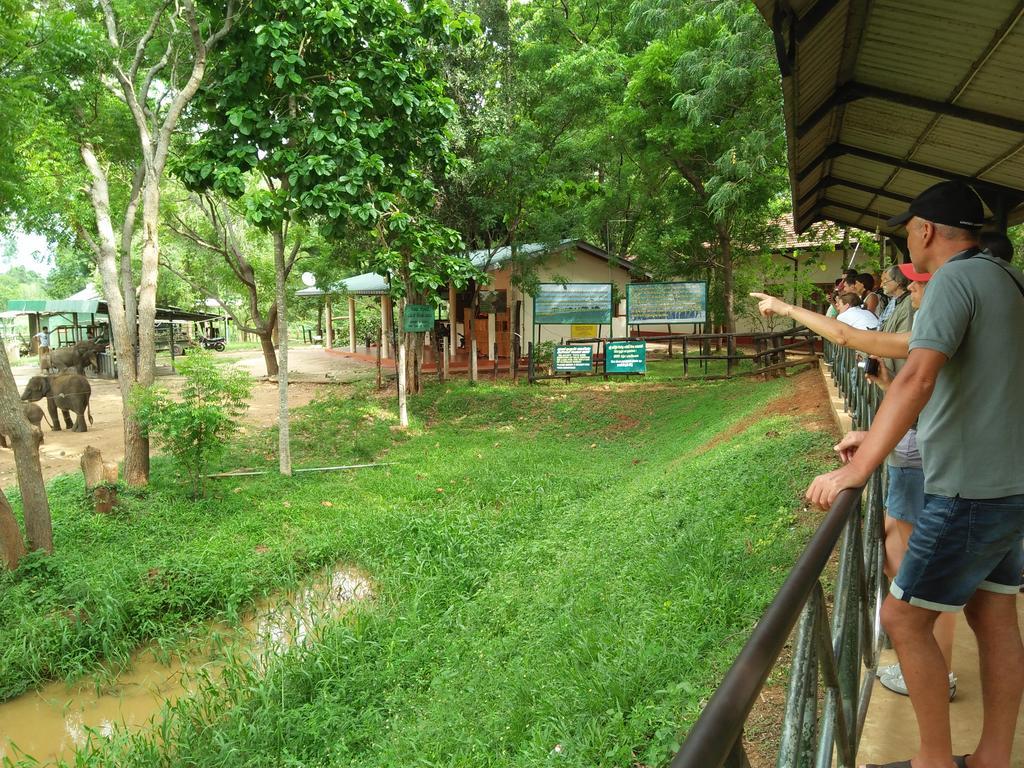 Brookline Safari Resort Udawalawe Εξωτερικό φωτογραφία