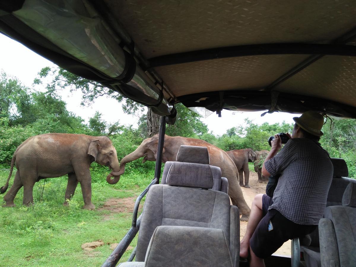Brookline Safari Resort Udawalawe Εξωτερικό φωτογραφία