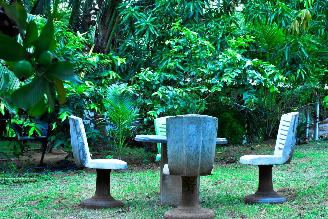 Brookline Safari Resort Udawalawe Εξωτερικό φωτογραφία