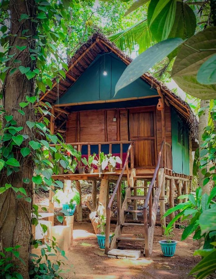 Brookline Safari Resort Udawalawe Εξωτερικό φωτογραφία