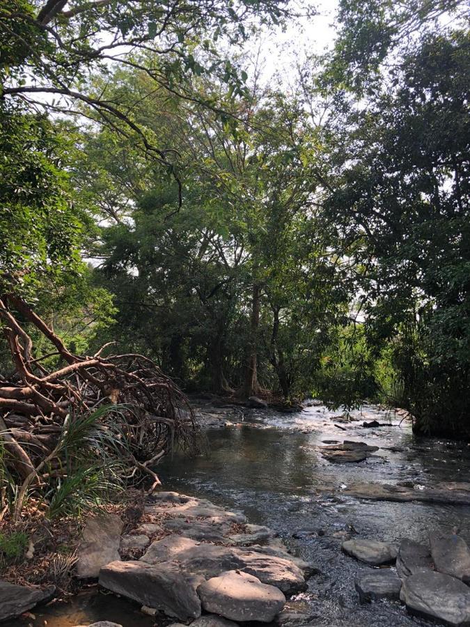 Brookline Safari Resort Udawalawe Εξωτερικό φωτογραφία